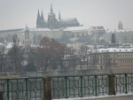 2013-01-26_13-43-54_IMGP5793.jpg