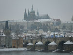 2013-01-26_13-49-35_IMGP5806.jpg