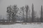 2013-01-27_14-37-07_DSC_3432.jpg