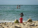 Photos