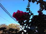 2013-02-18_07-18-52_2013-02-18-07.18.52.jpg