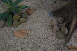 2013-02-19_18-00-53_DSC_3624.jpg