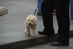 2013-03-02_14-23-58_DSC_3860.jpg
