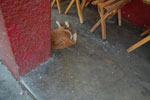 2013-03-06_11-46-09_DSC_4018.jpg