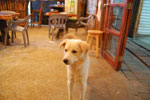 2013-03-06_19-21-21_DSC_4264.jpg