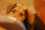 2013-03-06_20-03-00_DSC_4269.jpg