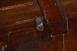 2013-03-07_17-24-38_DSC_4469.jpg