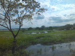 2013-03-09_15-52-43_2013-03-09-15.52.43.jpg