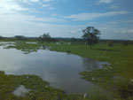 2013-03-09_16-00-25_2013-03-09-16.00.25.jpg