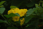 2013-03-12_11-40-54_DSC_5531.jpg