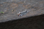 2013-03-12_12-18-09_DSC_5584.jpg