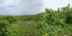 2013-03-12_12-41-13_DSC_5609-pan.jpg