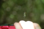 2013-03-12_13-59-00_DSC_5803.jpg