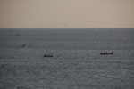 2013-03-14_17-59-57_DSC_6158.jpg