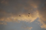 2013-03-14_18-33-40_DSC_6228.jpg