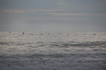 2013-03-16_16-50-10_DSC_6466.jpg