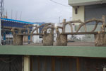 2013-03-18_16-03-39_DSC_6684.jpg