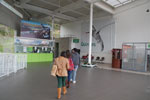 2013-03-25_14-37-08_DSC_6924.jpg