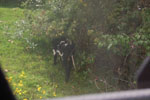 2013-03-25_14-45-13_DSC_6931.jpg