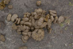 2013-03-25_15-25-09_DSC_7037.jpg