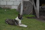2013-03-25_15-34-40_DSC_7058.jpg