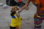 2013-03-26_17-54-41_DSC_7182.jpg