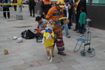 2013-03-26_17-55-14_DSC_7196.jpg