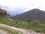 2013-03-28_13-41-24_2013-03-28-13.41.24.jpg