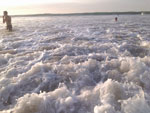 Photos