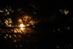 2013-04-07_19-16-35_DSC_7837.jpg