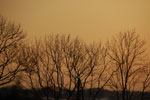 2013-04-07_19-16-36_DSC_7838.jpg