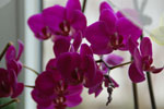 2013-04-09_13-26-00_DSC_7858.jpg