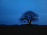 2013-04-11_20-20-43_2013-04-11-20.20.43.jpg
