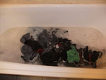 Photos