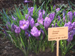 2013-05-03_17-27-44_DSCF0932.jpg