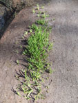2013-05-03_17-34-55_DSCF0954.jpg