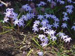 2013-05-03_17-36-52_DSCF0962.jpg