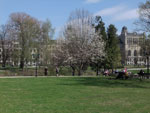2013-05-07_13-43-40_DSCF1874.jpg