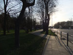 2013-05-07_19-58-13_DSCF1979.jpg