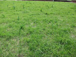 2013-05-08_16-33-01_DSCF2129.jpg