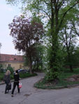 2013-05-11_20-31-44_DSCF3110.jpg