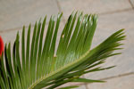 2013-05-15_13-59-46_DSC_7880.jpg