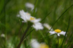 2013-05-15_14-02-13_DSC_7901.jpg