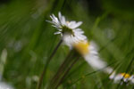 2013-05-15_14-02-45_DSC_7921.jpg