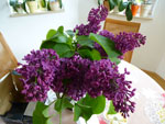 2013-05-21_14-20-20_P1000004.jpg
