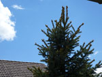 2013-05-21_14-30-09_P1000010.jpg