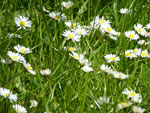 2013-05-21_14-30-32_P1000011.jpg