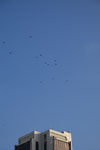 2013-05-26_17-07-12_DSC_8015.jpg