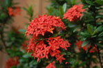 2013-05-26_17-20-28_DSC_8067.jpg