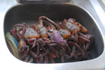 2013-06-08_11-48-06_DSC_8559.jpg